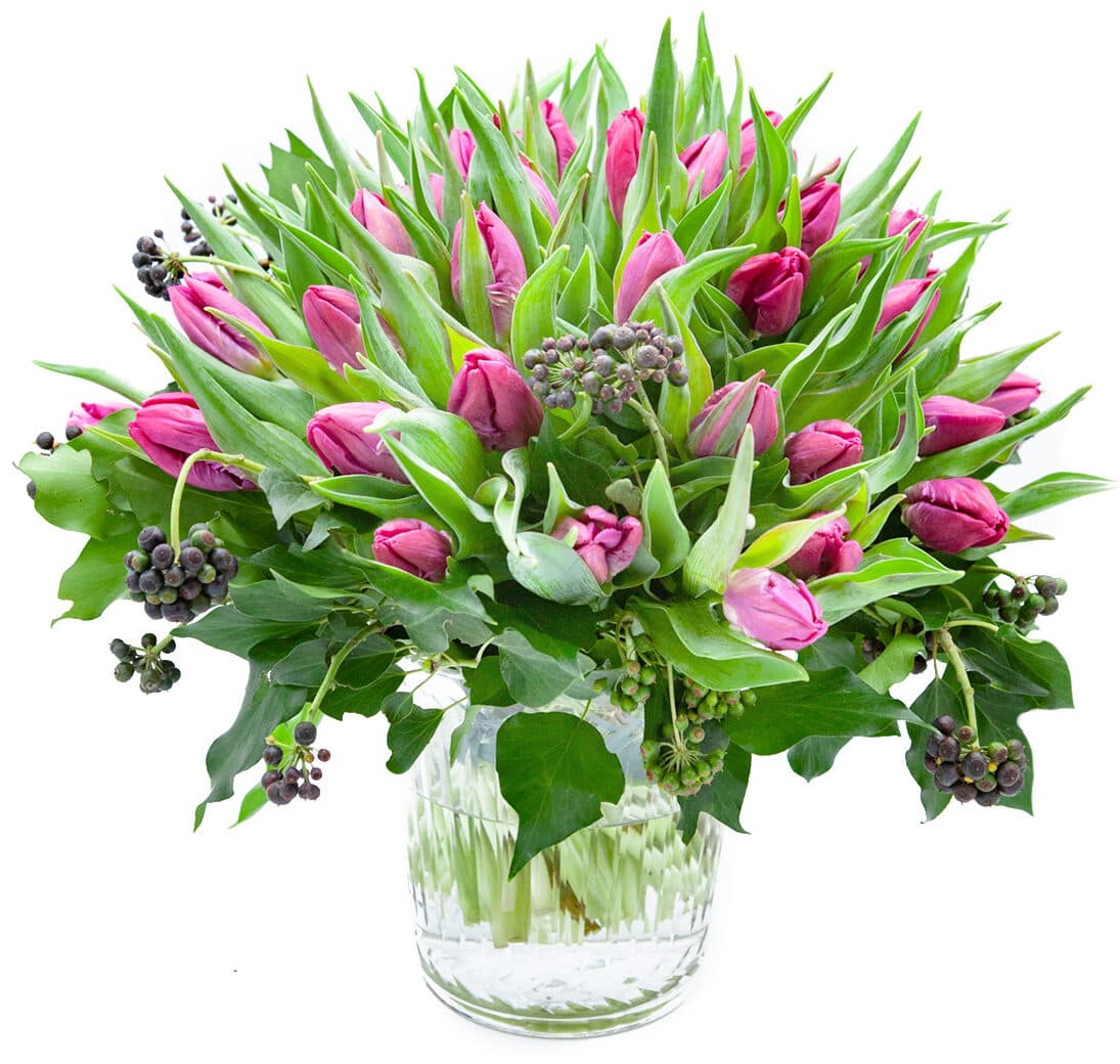 Tulip Bomb