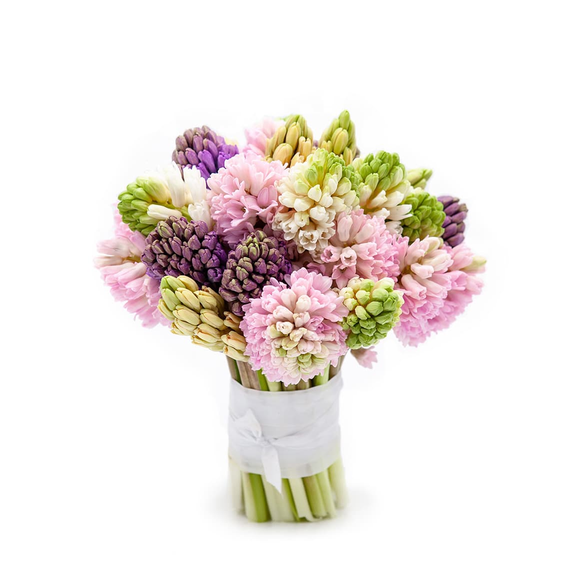 Pure Hyacinth